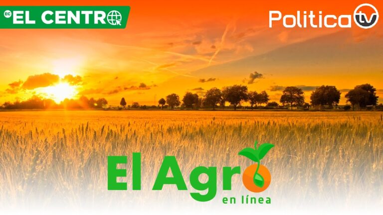 El Agro En Línea – Capítulo 11
