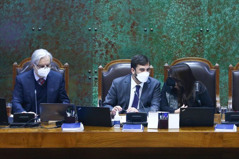 Ley Antonia: A comisión mixta proyecto que evita la revictimización en casos de delitos sexuales