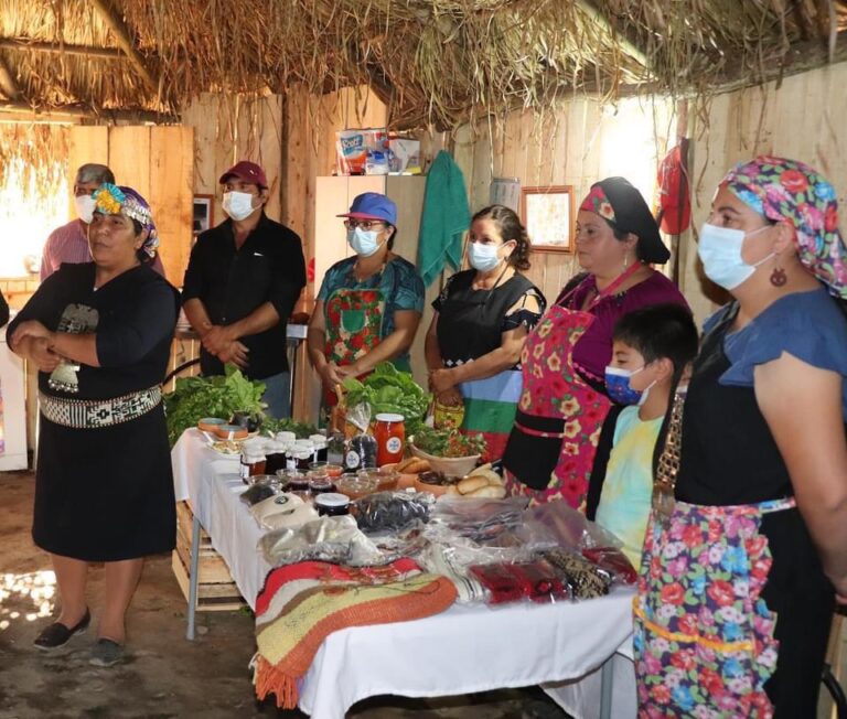 Ruka mapuche de Longaví recibió incentivo de Fosis para dar a conocer cultura de pueblos originarios