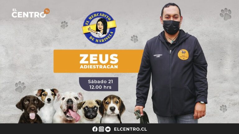 Mercadito de Marisela | Zeus adiestracan