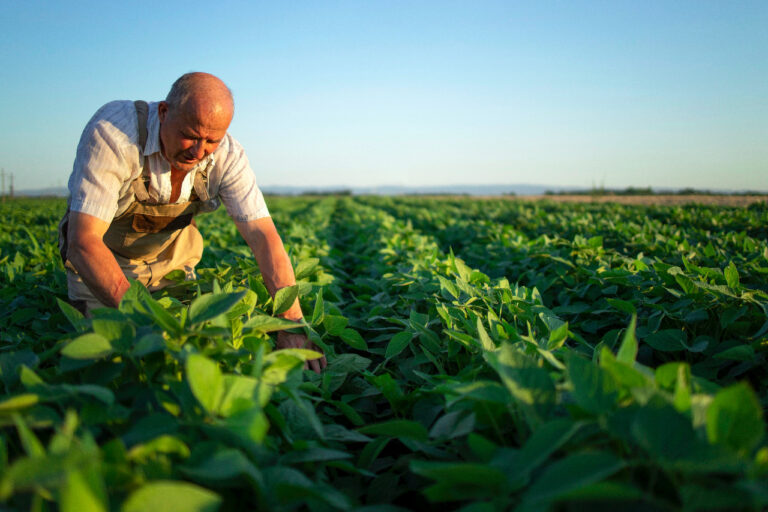 Cómo elegir correctamente un equipo de riego para proyectos agrícolas