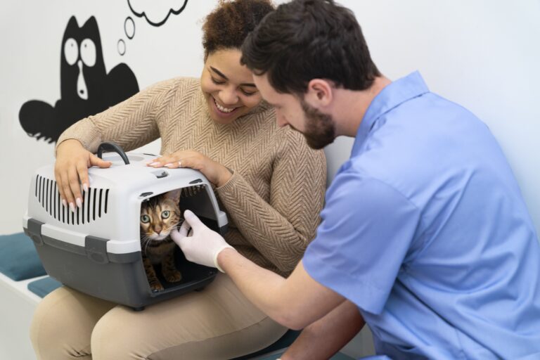 Aprueban millonaria suma para Clínica Veterinaria Pública en Talca