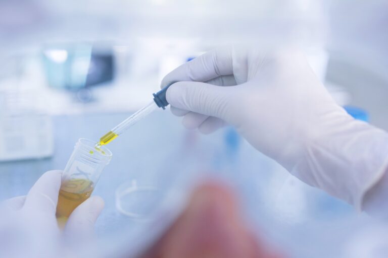Innovación: desarrollan packaging antimicrobiano para favorecer las exportaciones frutícolas