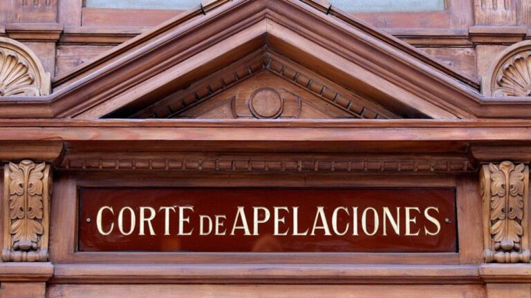 Corte de Talca: prisión preventiva para 28 imputados por asociación ilícita y robo de madera