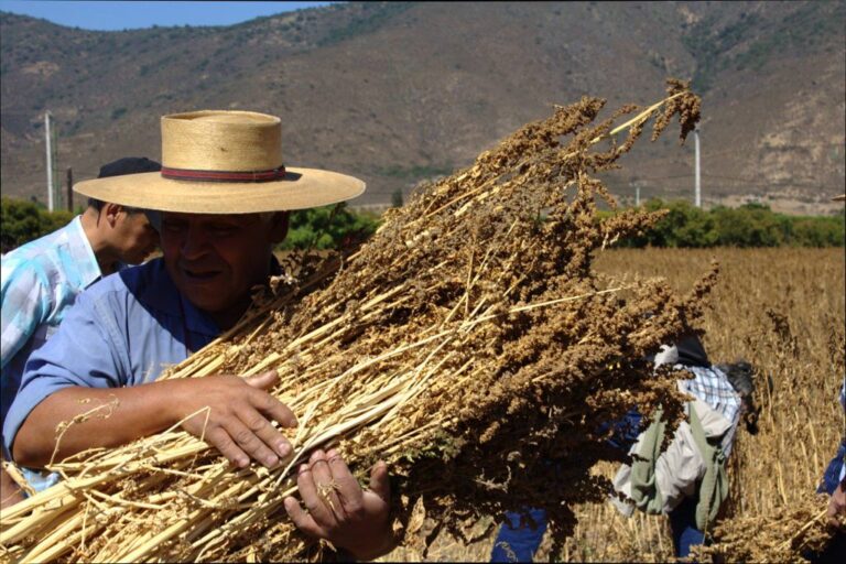 Cooperativas campesinas recibirán apoyo para el desarrollo de iniciativas de innovación