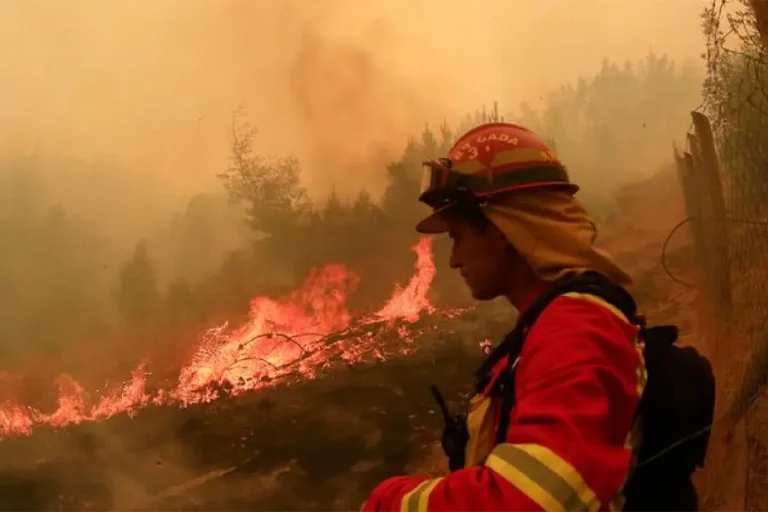 CONAF declaró 17 comunas de la región del Maule en condición de “Botón Rojo” por amenaza de incendios forestales