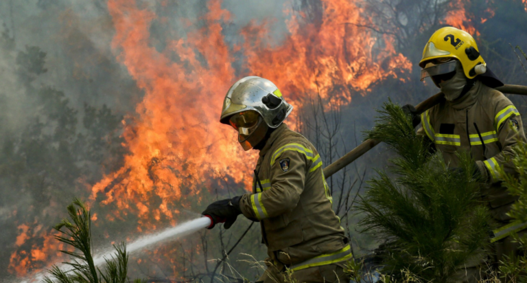 Alerta por incendios forestales en el Maule: Curepto y Cauquenes, las zonas más afectadas durante el fin de semana