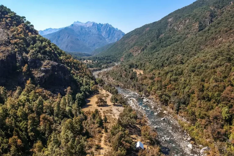 Incendio en Río Blanco amenaza a bosque nativo