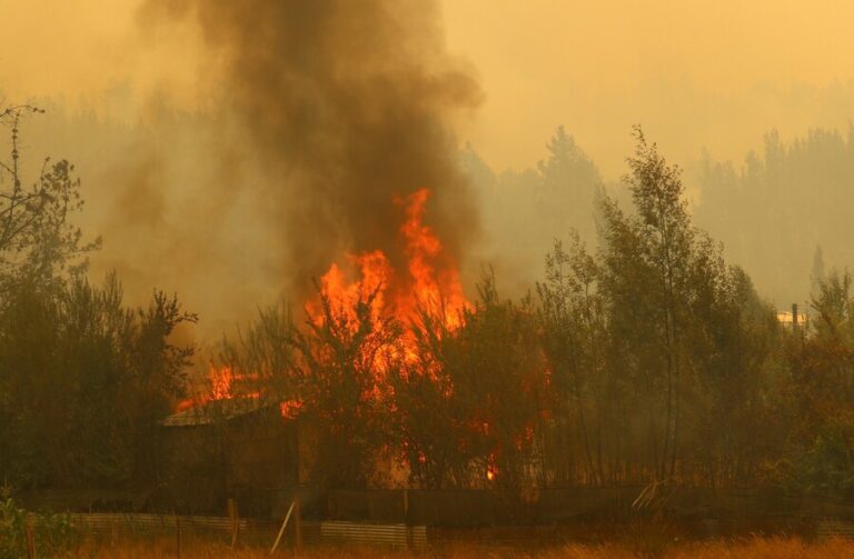 Curepto: Fallece adulta mayor por causa de incendio forestal 