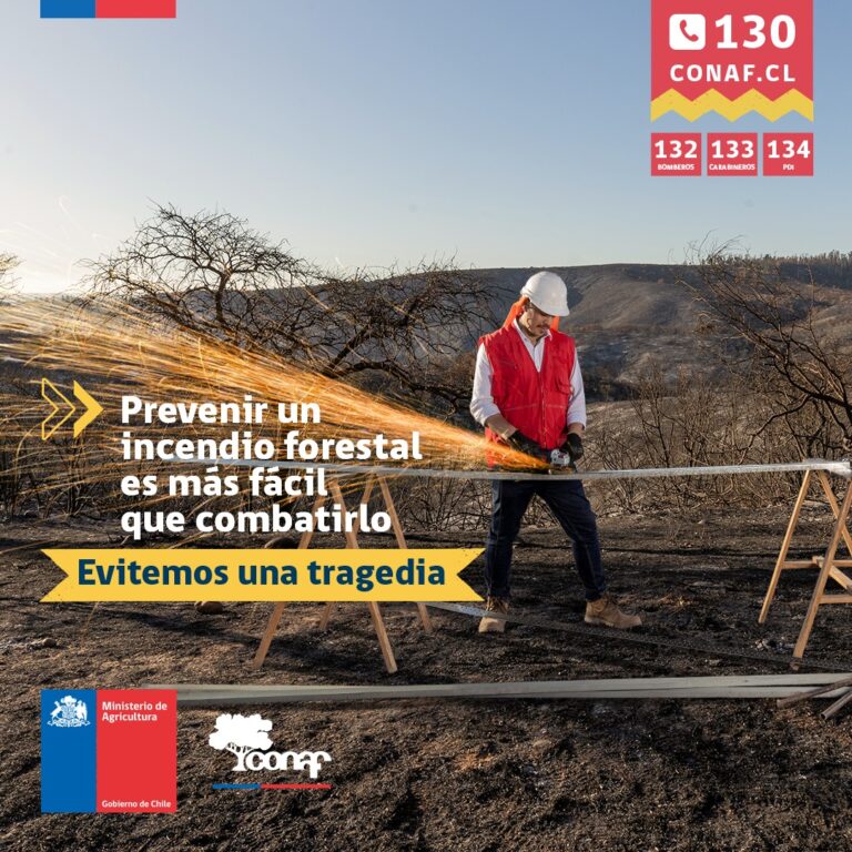 Incendios forestales: CONAF activa Botón Rojo entre Maule y La Araucanía por altas temperaturas