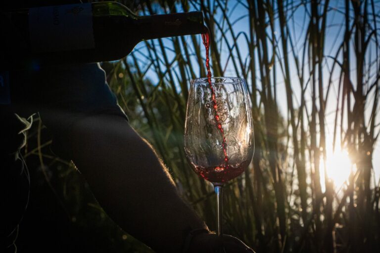 Exitoso Sunset San Javier contó con 12 versátiles viñedos locales