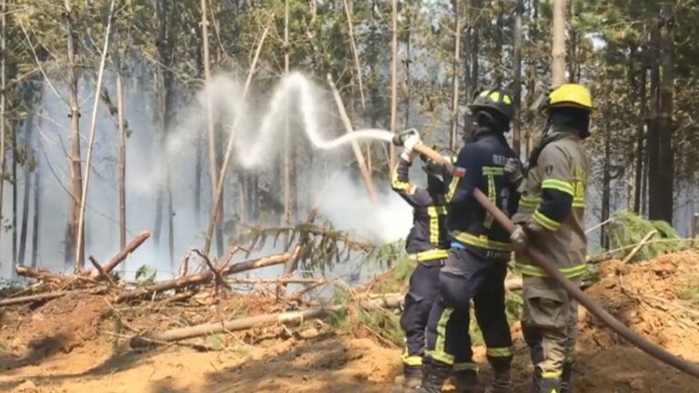 Bomberos del Maule fortalecen arsenal contra incendios: 14 piscinas autosoportantes de 20 mil litros