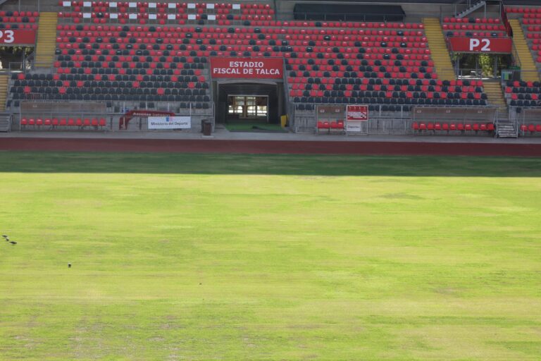 Estadio Fiscal de Talca se encuentra en proceso de recuperación de césped