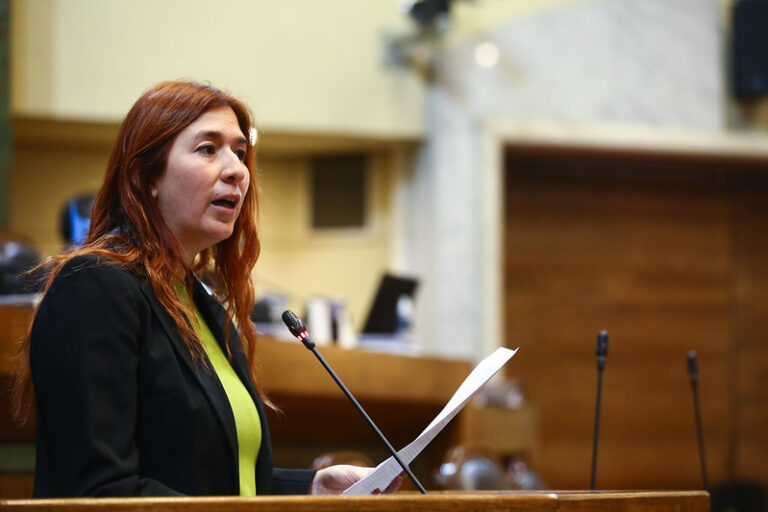 Ley de paridad para la elección del Consejo Constitucional es despachada a ley