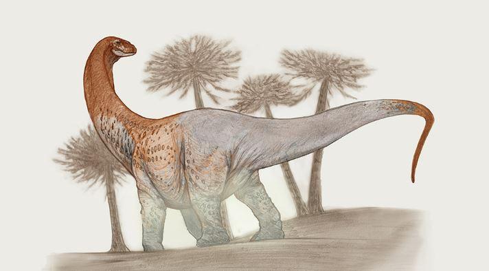 “Chucarosaurus”: Dinosaurio herbívoro de 30 metros es encontrado en la patagonia
