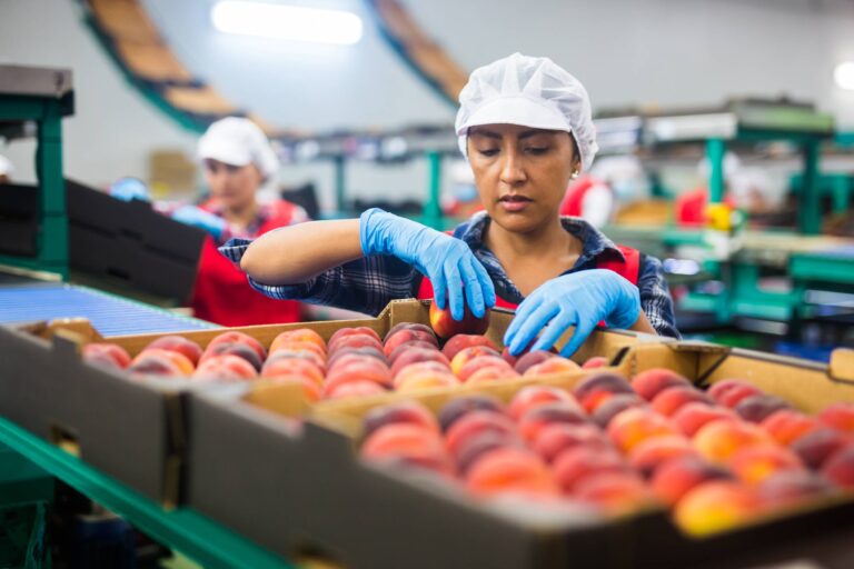Informe del Observatorio Laboral refleja recuperación económico-laboral en Maule