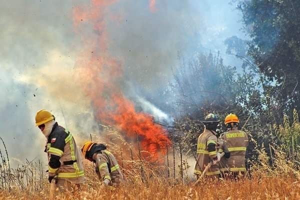 Se levanta Alerta Amarilla en comunas de Linares, Curicó y Longaví