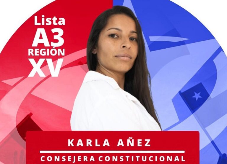 Elecciones Consejo Constitucional: Candidata del PDG, Karla Añez, renuncia tras revelarse condena por narcotráfico de cocaína