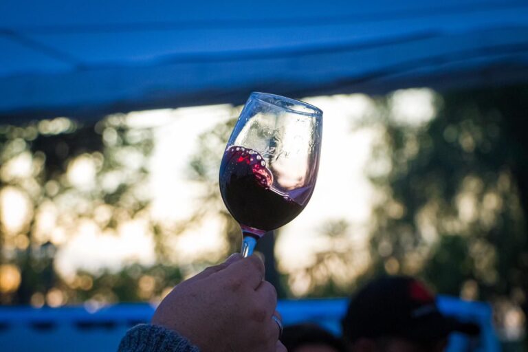 San Javier: Fiesta del Vino de Loncomilla consolida al valle como una de los más importantes del país
