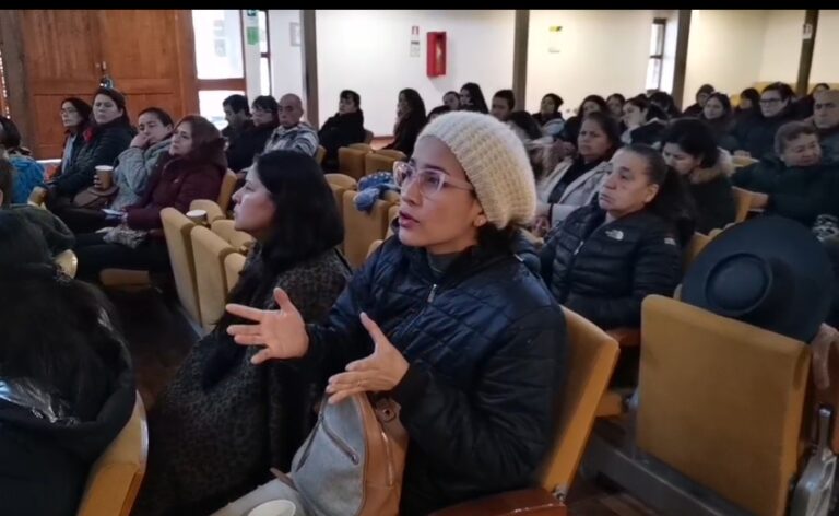 La plataforma digital “Mercadito Maulino” llega a Yerbas Buenas para ayudar a emprendedores
