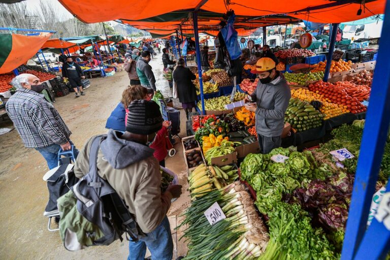 Canasta básica de alimentos: Manzanas, plátanos y lechugas presentan mayores disminuciones