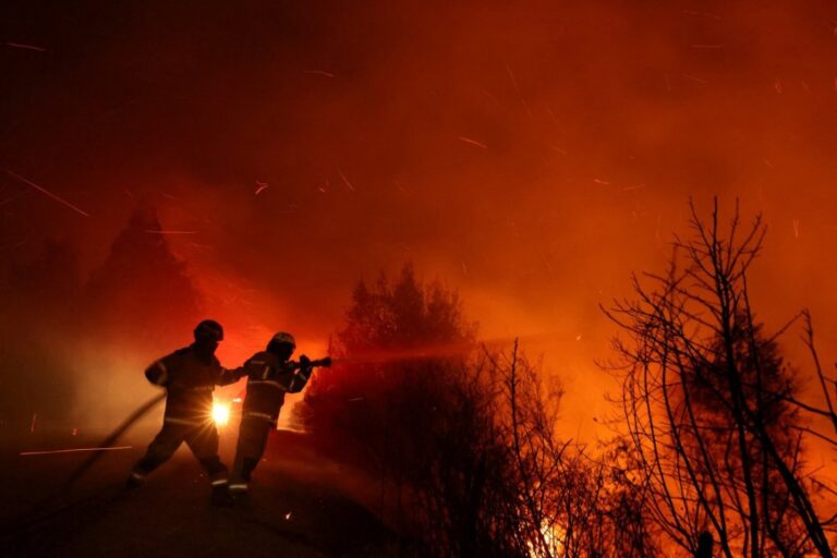 Estudio sugiere que un 48% de los incendios de este verano fueron intencionales