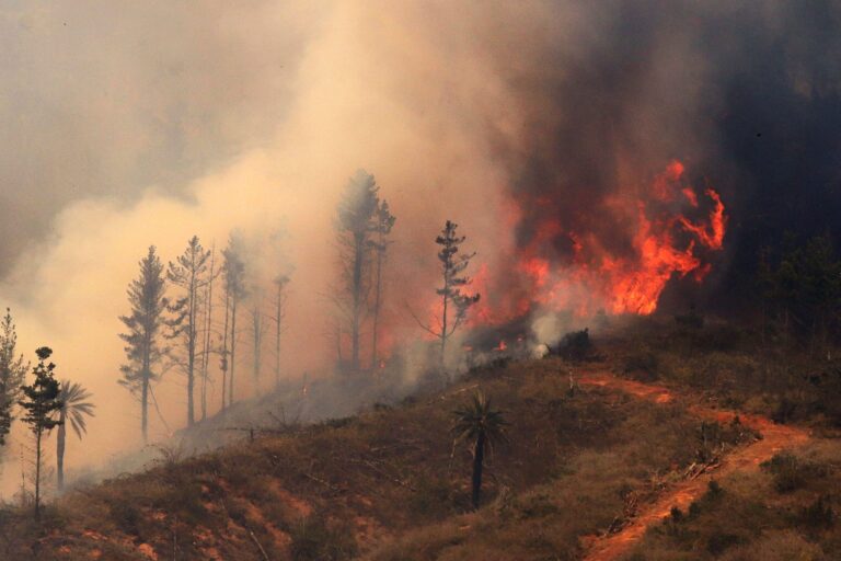 Se declara alerta amarilla para Curicó, Longaví y Linares