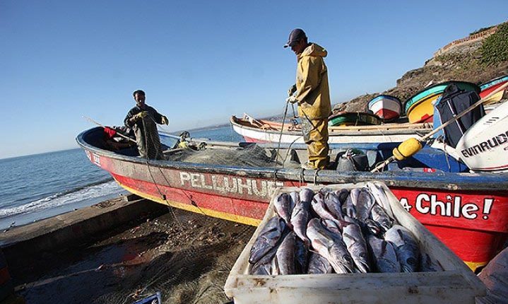 Este 28 de junio vence el plazo para las postulaciones al Programa de Fomento Productivo en Pesca y Agricultura