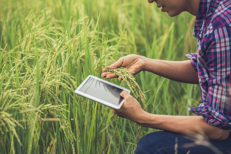 Nueva plataforma permitirá optimizar el riego de grandes y pequeños agricultores