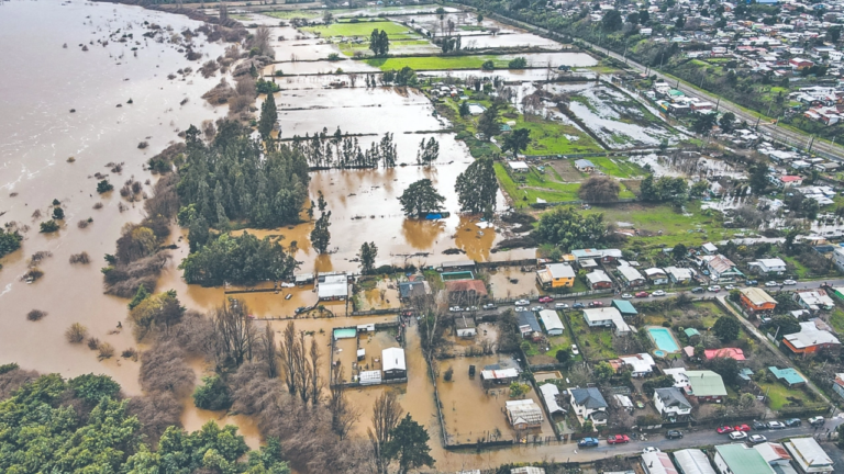 Piden declarar Emergencia Agrícola en el Maule tras catástrofe climática