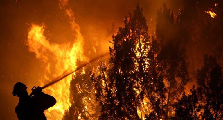 Tecnología desarrollada en el Maule refuerza la prevención de incendios forestales
