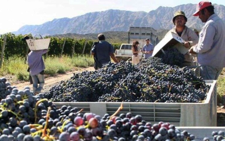 Cauquenes: Tercera sesión de la Mesa birregional del vino abordará problemas actuales de la industria
