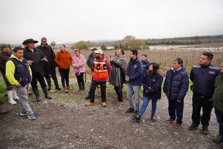 Sagrada Familia, Rauco, Hualañé y Licantén: buscan dimensionar pérdidas agrícolas