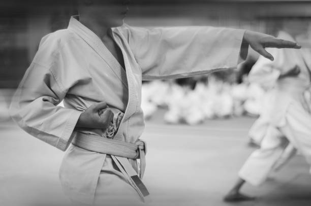 Cauquenes: Torneo de Artes Marciales se realizará este 22 de julio en la comuna