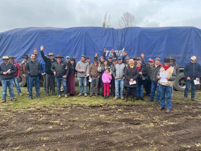 Longaví: Agricultores reciben sacos de comida para sus animales