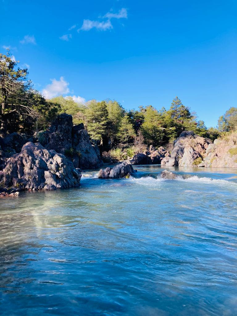 Servicio de Biodiversidad y Áreas Protegidas: seremi Medio Ambiente explica la ley que busca unificar su gestión
