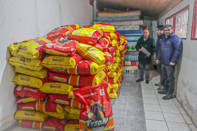 Curicó: Familias de la comuna se verán beneficiadas con la entrega de alimento para mascotas