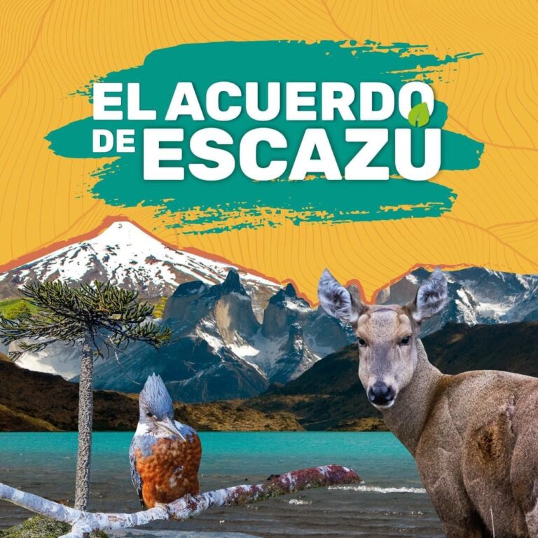 Acuerdo de Escazú: Consejo Consultivo regional analiza plan de implementación