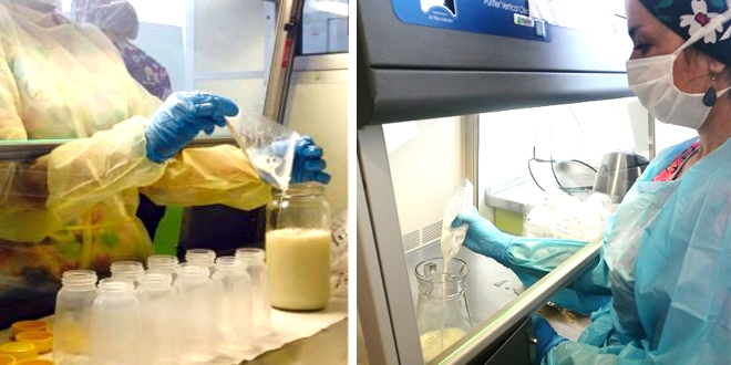 Talca: académicos y profesionales se capacitan en España para impulsar Banco de Leche Humana