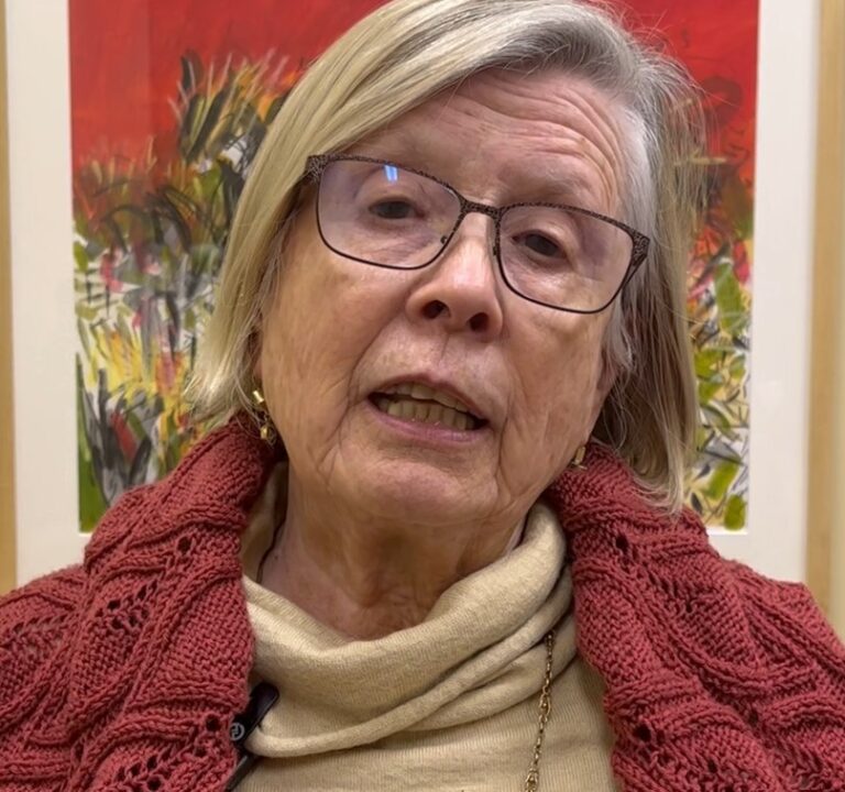 Diputada Mercedes Bulnes exige a Alcalde de Talca realizar sumario contra Directora Jurídica Grace Salazar 