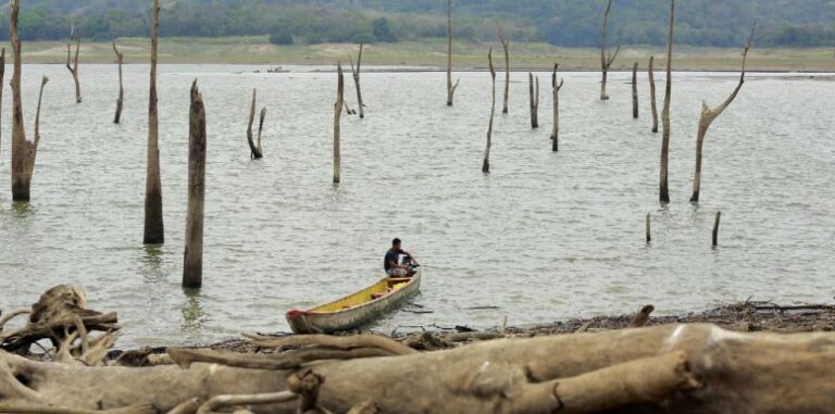 Fenómeno del niño comenzó su marcha y se esperan fuertes cambios en las condiciones climáticas