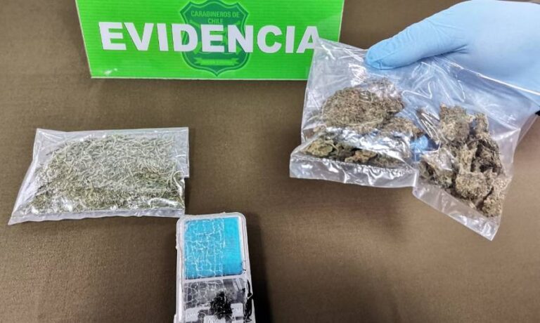 Hualañé: cinco detenidos por tráfico de drogas y porte de armas