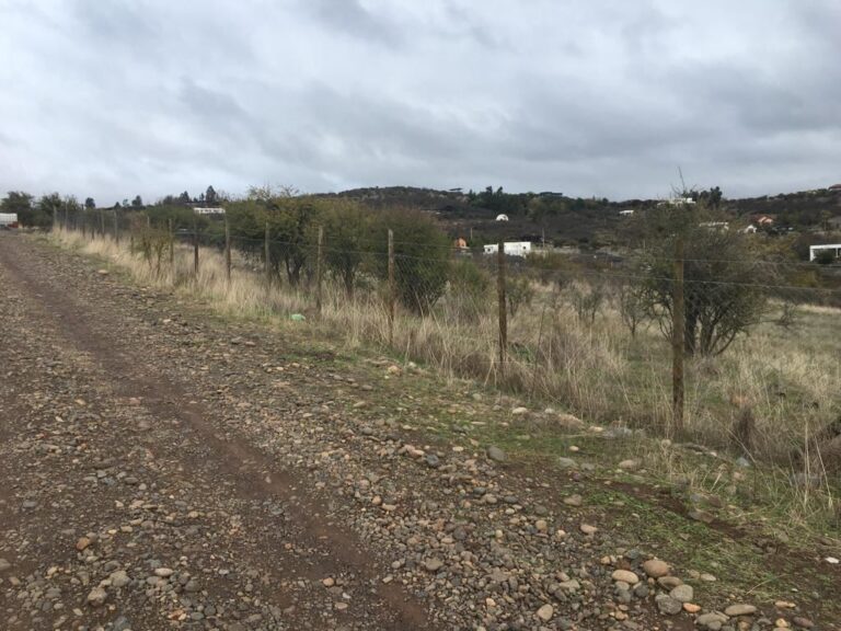 Loteos irregulares en Pencahue: Contraloría envía antecedentes a Fiscalía y municipio apunta a gestión anterior