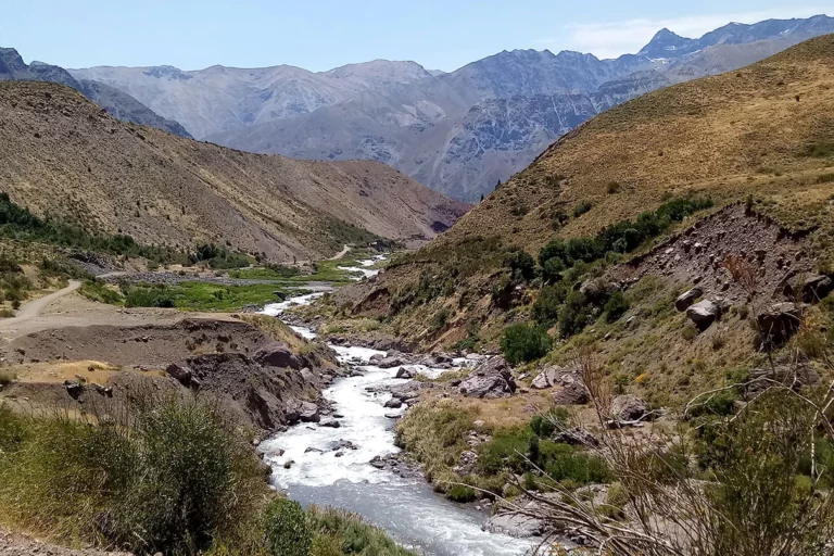 Teno: Se anula la aprobación ambiental de planta productora de proteína en la comuna
