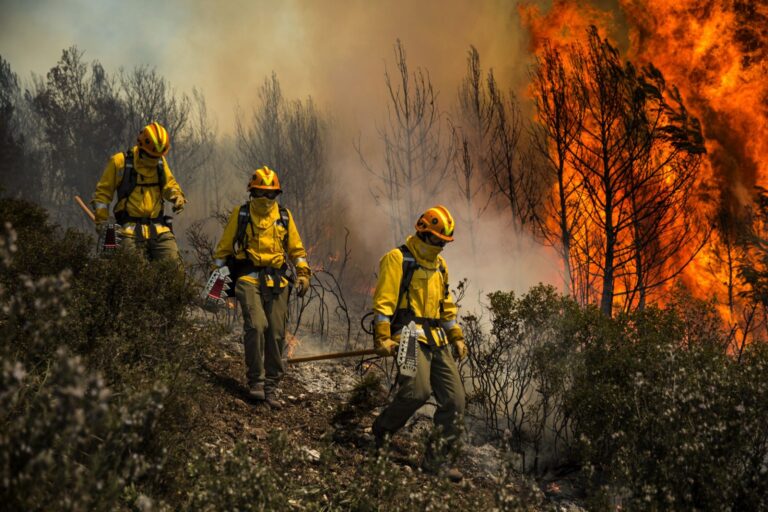 Abren proceso de inscripción para pertenecer a brigadas de incendios forestales