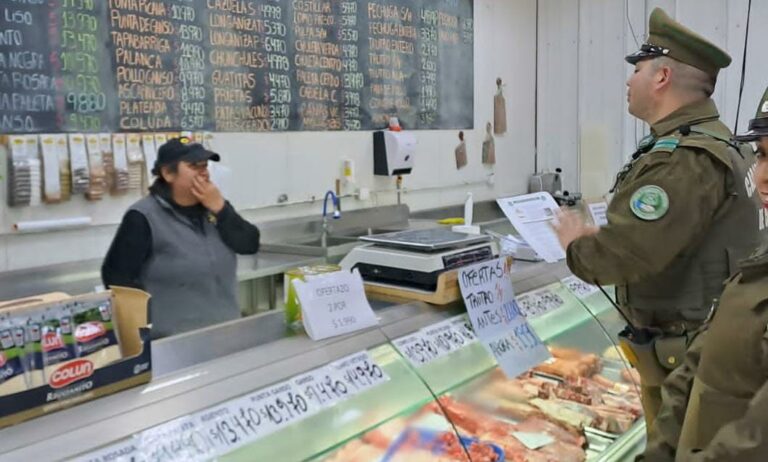 Linares: buscan prevenir la venta ilegal de carnes previo a fiestas patrias