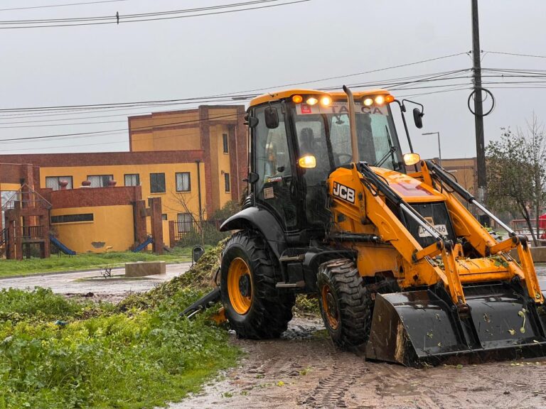 Talca: total suspensión de clases hasta nuevo aviso