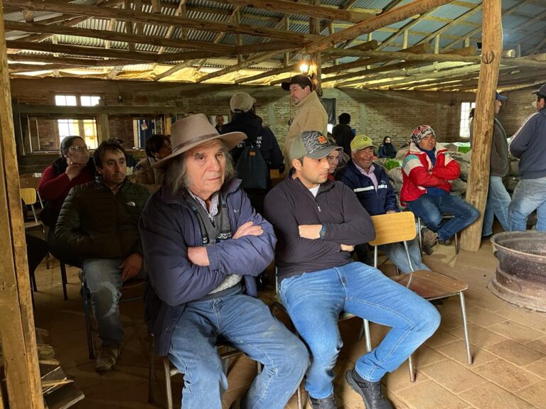 Agricultores no INDAP de Empedrado reciben más de $4 millones en alimentación animal