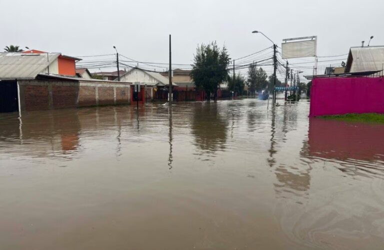 Medidas preventivas de ARAUCO permitieron resguardar a trabajadores tras desborde de Río Mataquito