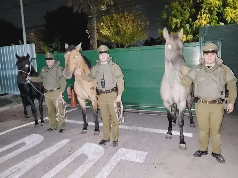Parral: detienen a delincuentes que robaban animales